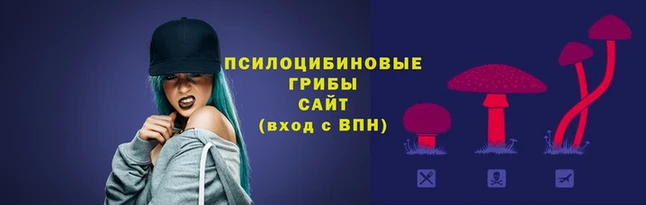 каннабис Лабытнанги