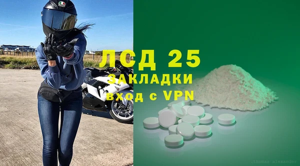 спиды Богородицк